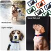 Squif Pack of 2 Airtag Case for Pets, Dogs, Cats | Airtag Case Cover | Protective Silicone Case Compatible with Airtag (Black_Green) - Image 6