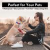 Squif Pack of 2 Airtag Case for Pets, Dogs, Cats | Airtag Case Cover | Protective Silicone Case Compatible with Airtag (Black_Green) - Image 3